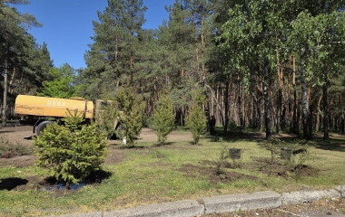 На території Гаю Десантників у Кропивницькому стартували роботи з озеленення
