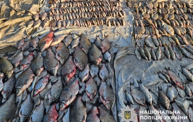 На Кіровоградщині розпочали дев'ять кримінальних проваджень за фактами незаконного вилову риби  
