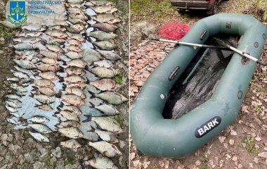 На Кіровоградщині порушник порибалив, завдавши державі шкоди майже 300 тис. гривень