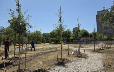 У Кропивницькому розпочали озеленення нового скверу по вулиці Соборній