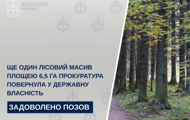 Державі повернуть ліс на Кіровоградщині
