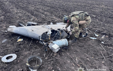 На Кіровоградщині вибухотехніки поліції знищили бойову частину шахеда