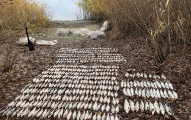 Порушники наловили риби у водосховищі Кіровоградщини на майже 900 тисяч гривень