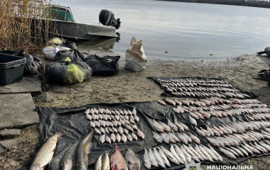 Правоохоронці Кіровоградщини припинили незаконний вилов риби на водосховищі