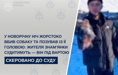 Судитимуть нелюда з Кіровоградщини за вбивство собаки