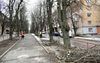 У Кропивницькому продовжується підготовка до облаштування Алеї Пам’яті