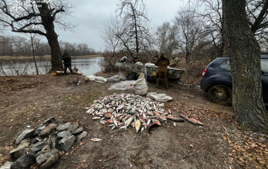 Браконьєрство на понад 2,5 мільйона гривень — на Кіровоградщині повідомлено про підозру рецидивісту