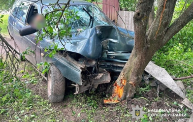 На Кіровоградщині п’яний водій врізався в дерево