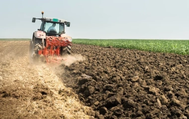Прокуратура Кіровоградщини відібрала у підприємця землю, яку він незаконно перетворив у агробізнес