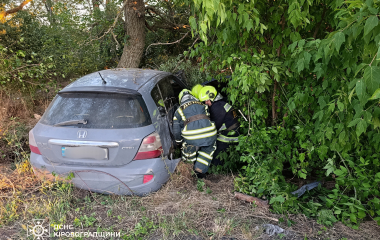 На Кіровоградщині авто влетіло в дерево: Водій загинув