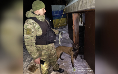 На Кіровоградщині поліцейські затримали чергового наркозбувача
