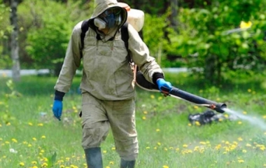 Кропивничанам заборонили відвідувати Дендропарк