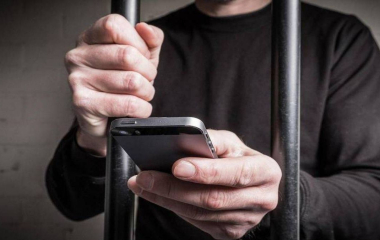 Бізнесмени в робах: як на Кіровоградщині засуджені гріли руки на продажі неіснуючих дров