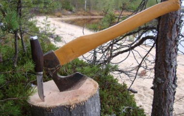 На Кіровоградщині судитимуть чоловіка за незаконну порубку дерев у заповідному лісі