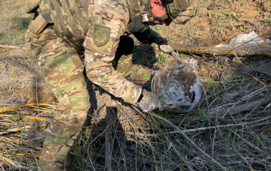 Поліцейські вибухотехніки знищили  бойову частину дрона