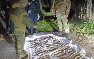 На Кіровоградщині порушник ловив рибу “павуками”