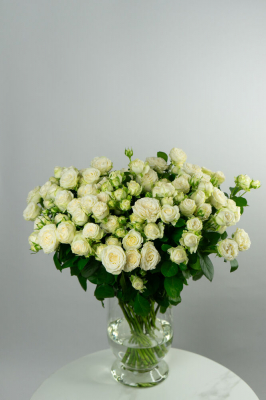 ElFlora - фото 8