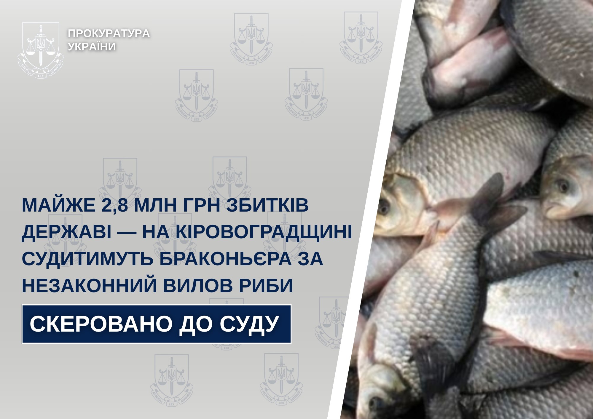 697793025_1288946520080047_730635413210857724_n